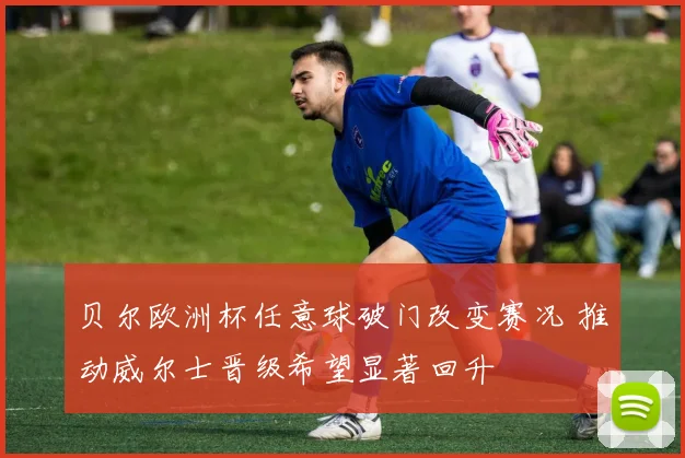 贝尔欧洲杯任意球破门改变赛况 推动威尔士晋级希望显著回升