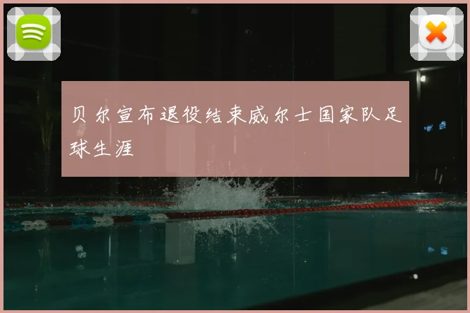 贝尔宣布退役结束威尔士国家队足球生涯