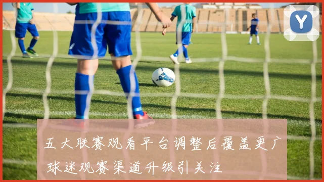 五大联赛观看平台调整后覆盖更广 球迷观赛渠道升级引关注