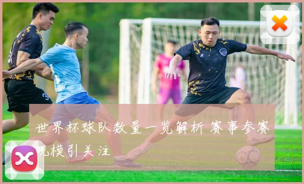 世界杯球队数量一览解析 赛事参赛规模引关注