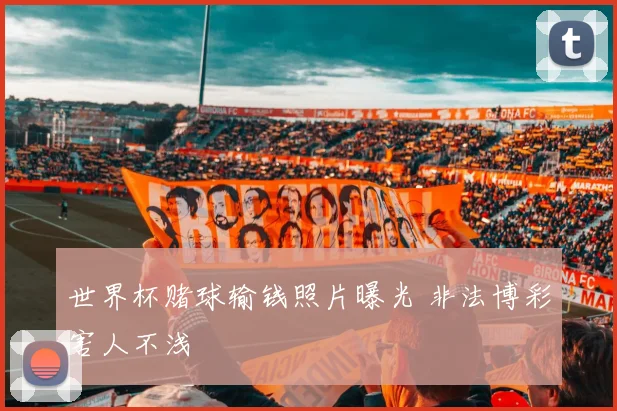 世界杯赌球输钱照片曝光 非法博彩害人不浅