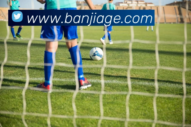 开云手机入口APP 高清赛事图